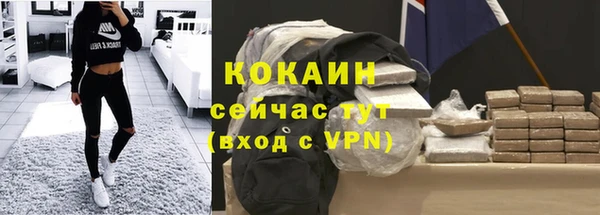 крисы Абаза