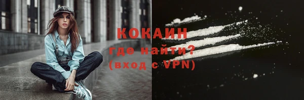 крисы Абаза