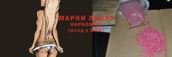 крисы Абаза