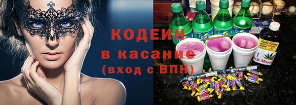 крисы Абаза
